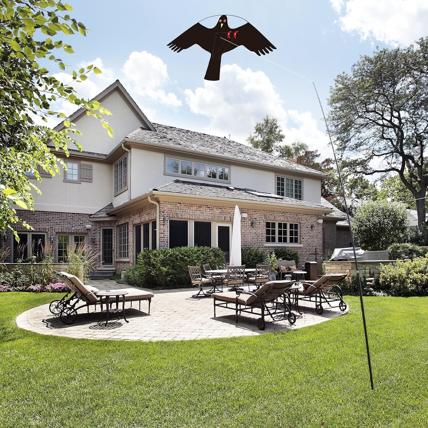 Flying Hawk Kite Bird Deterrent with 4m Pole & Easy Setup - Unisex/Teen Style C