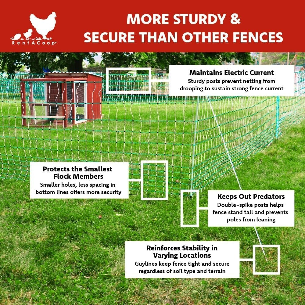 Electric Poultry Fence: 168' x 42