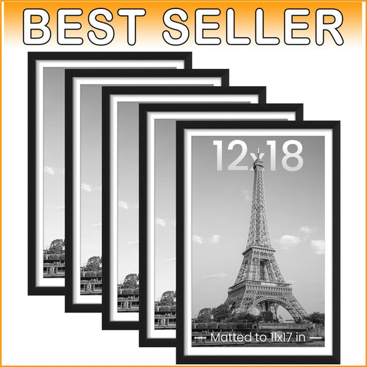 Elegant Black Picture Frame Set of 5 - 12x18 or 11x17 with Mat, Perfect Gift