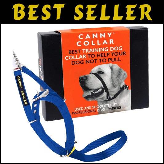 No-Pull Dog Collar for Stress-Free Walking - Gentle Head Collar in Blue, Size 2