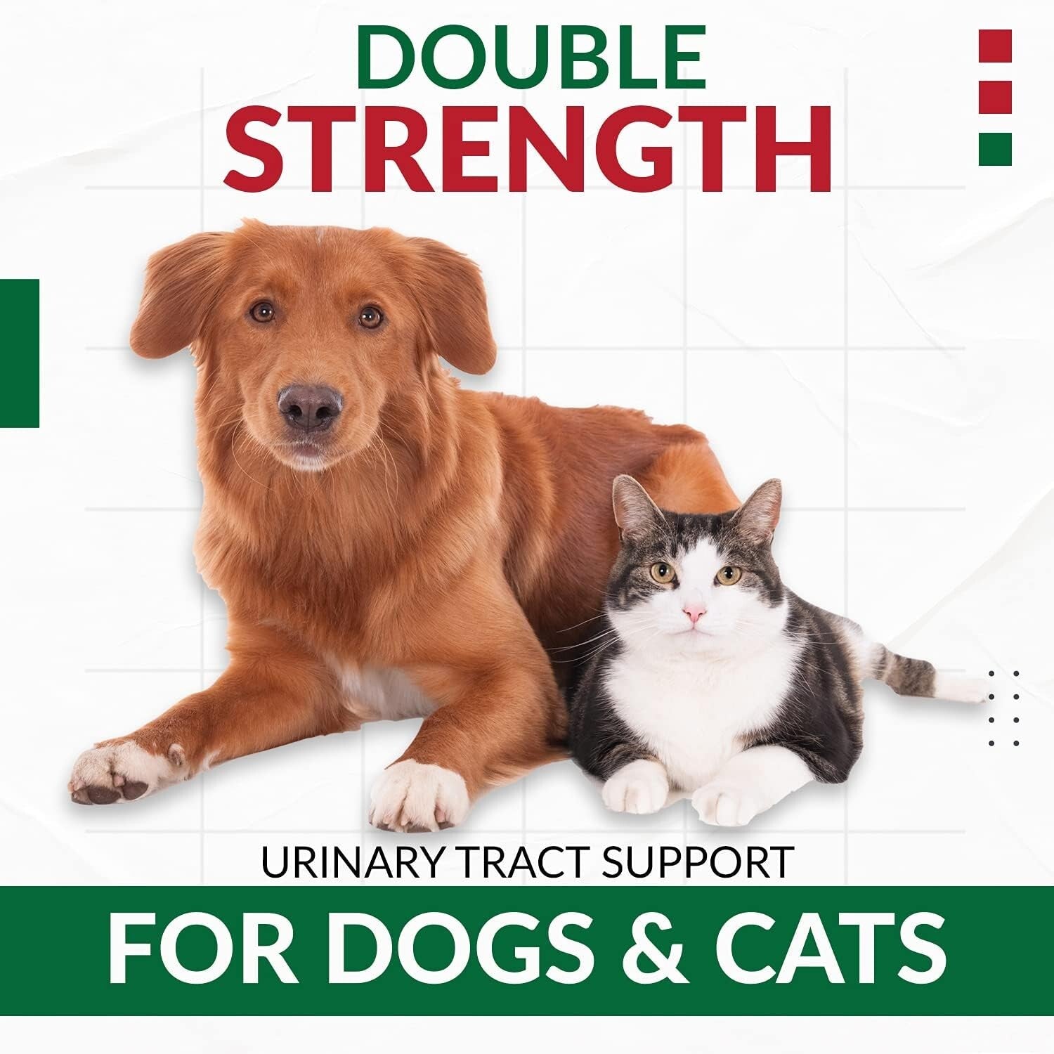 Vet-Recommended Cranberry D-Mannose Soft Chews - UTI Prevention for Pets