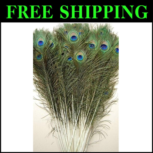Vibrant 25 Pcs Peacock Feathers 45"-50" - Perfect for Crafting and Events