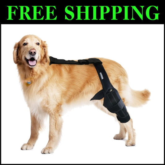 Lightweight Adjustable Dog Knee Brace for Joint Pain Relief & Mobility - Black