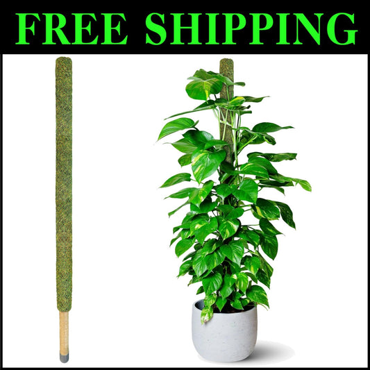 Natural 59’’ Moss Pole for Tall Plants - Sturdy Support for Climbing Growth