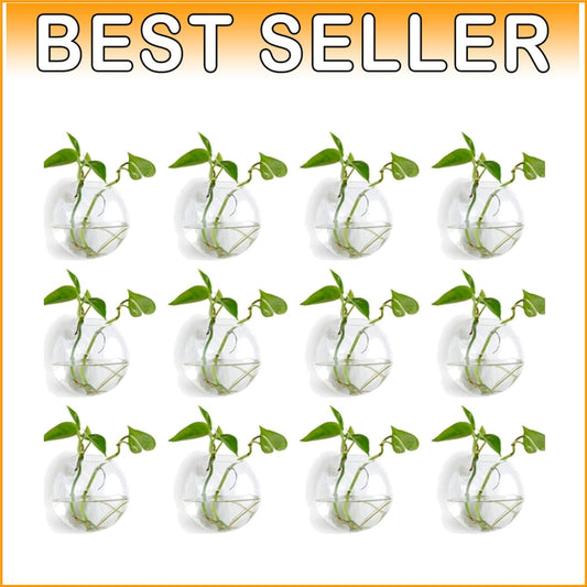 12-Piece Modern Glass Air Plant Holders - Stylish Wall-Mounted Decor
