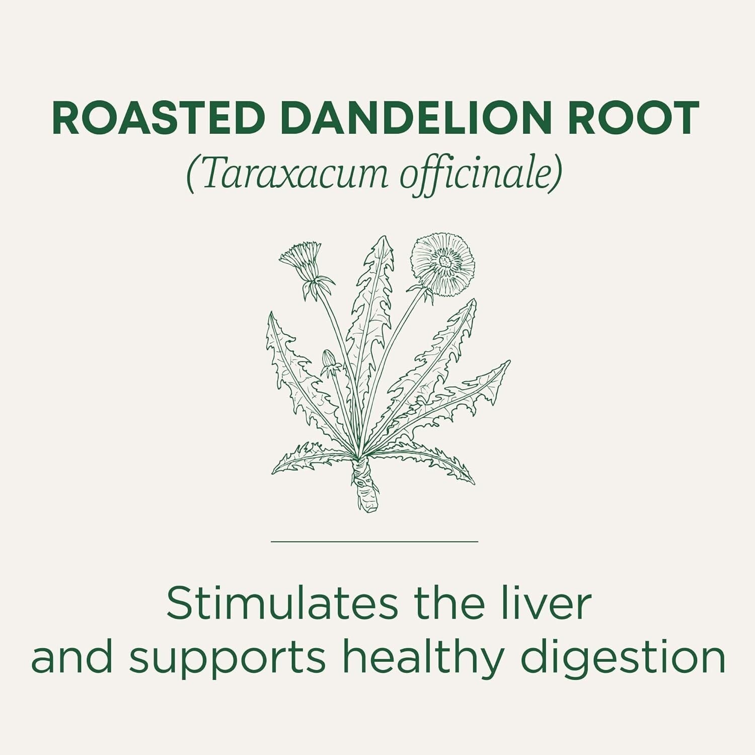 Organic Roasted Dandelion Root Tea - 96 Count for Healthy Digestion & Detox