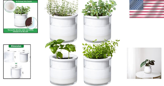 Elegant 4" Modern Terracotta Pots with Glass | Indoor Self-Watering Planters