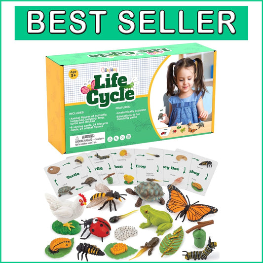 Engaging Montessori Animal Life Cycle Kit – 3D Matching Game for Young Learners