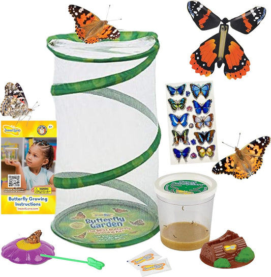 Metamorphosis Magic: 5 Caterpillars & Mini Habitat - Perfect Family Project