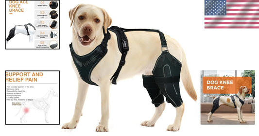 Adjustable Dog Knee Brace for Torn ACL & Luxating Patella – Medium Size