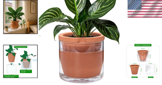 8 Inch Self-Watering Terracotta Planter with Glass Reservoir - Modern Elegance