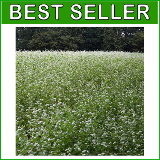 Buckwheat Seeds - 10lbs for Sustainable Cover Crop & Biodiversity Enhancement