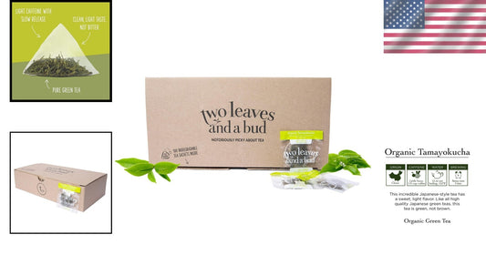 100 Count Pyramid Sachets of Whole Leaf Organic Green Tea - Light & Sweet Flavor