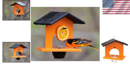 Weather Resistant Hanging Oriole Bird Feeder with Jelly Dish - 10.5"L x 7.5"W