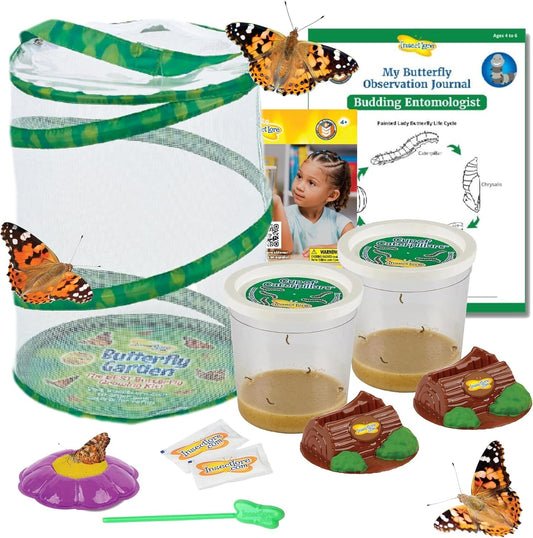 Engaging Butterfly Metamorphosis Kit | 10 Caterpillars & 12" Habitat for Kids