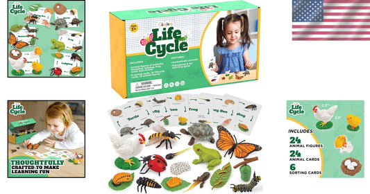 Engaging Montessori Animal Life Cycle Kit – 3D Matching Game for Young Learners