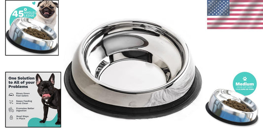 Ergonomic Slanted Dog Bowl with Raised Ridge – Promotes Digestive Health, Medium