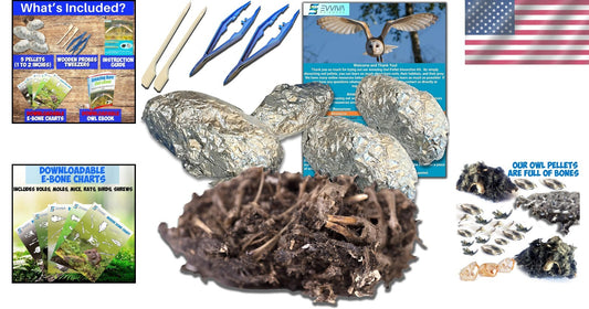 Educational Owl Pellet Dissection Kit with Variety of Sizes - Ideal for Ages 15+