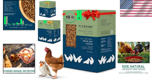 10 lbs Dried Black Soldier Fly Larvae - Protein-Rich Calcium Treats for Chickens