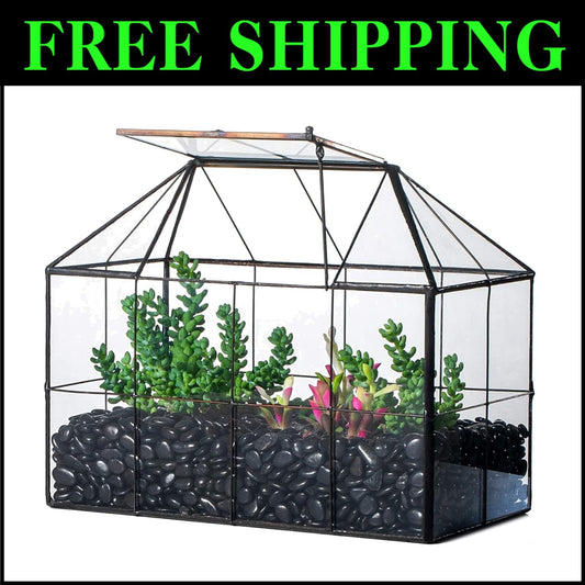 9.84 x 5.31 x 7.87 Black Glass Terrarium - Perfect for Indoor Cacti & Succulents