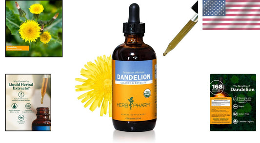 Freshly Harvested Organic Dandelion Extract - Liquid Detox Support, 4 oz