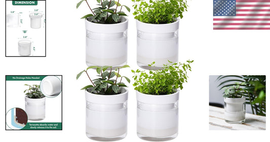 Elegant Cylindrical Self-Watering Planters: Terracotta & Glass - Set of Four