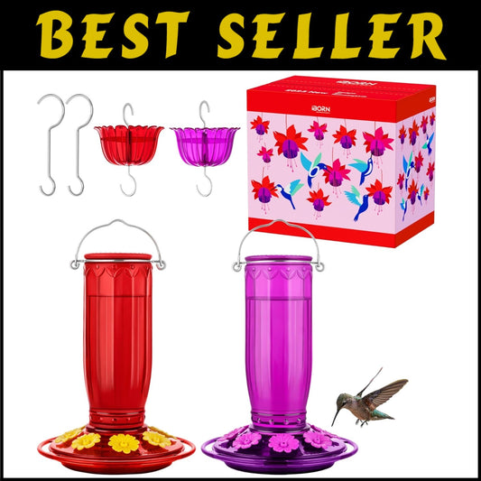 Attractive Hummingbird Feeder with Ant Moat - Durable Glass, Gift Box Included