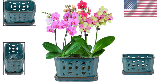 Durable Ceramic Orchid Pot with Saucer - 9.7" Teal Indoor/Outdoor Planter