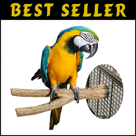 Large Natural Wood Bird Perches for Macaws & Large Parrots – Eco-Friendly Stands