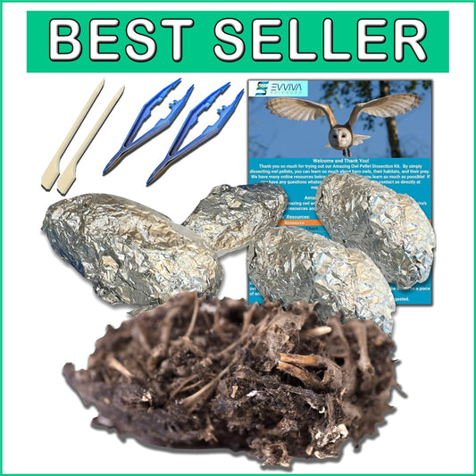 Educational Owl Pellet Dissection Kit with Variety of Sizes - Ideal for Ages 15+