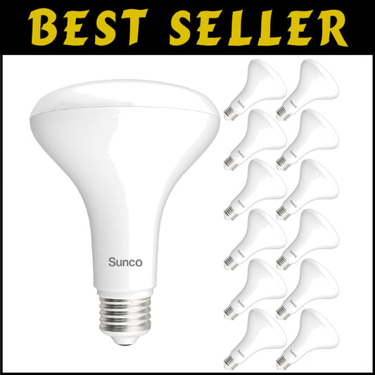 Energy-Efficient LED Bulbs - 12 BR30 Dimmable Flood Lights, Instant Brightness