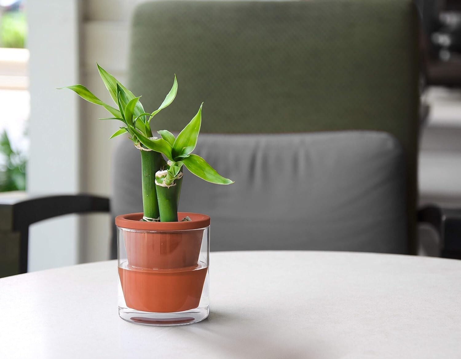 Handcrafted 4-Inch Self-Watering Planter Set with Terracotta Pots and Glass Cups