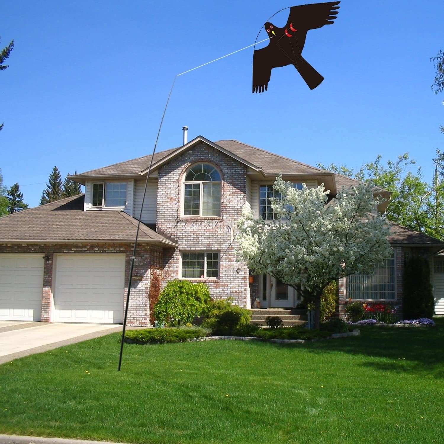 Flying Hawk Kite Bird Deterrent with 4m Pole & Easy Setup - Unisex/Teen Style C