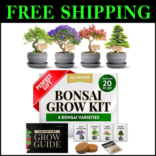 Indoor Bonsai Tree Growing Kit for Beginners – 4 Beautiful Types in One Set