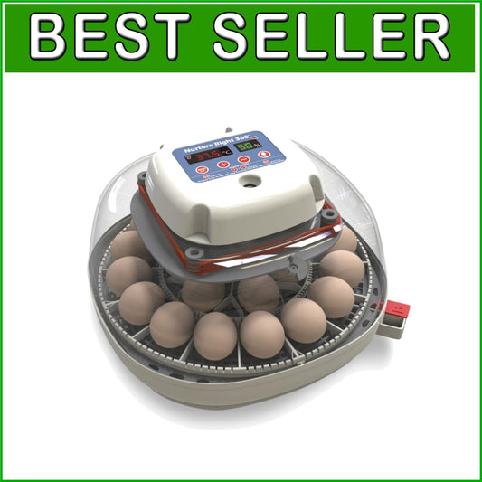 Automatic Egg Incubator for Chickens & Ducks - Holds 12-22 Eggs with 360° View