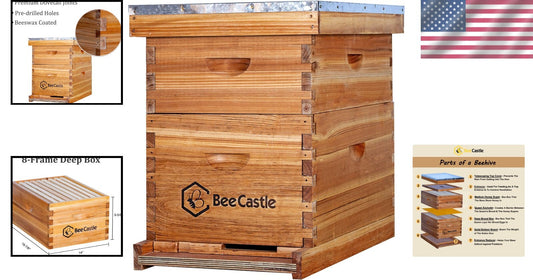 Complete 8-Frame Beehive Starter Kit with Beeswaxed Frames and Deep Medium Boxes