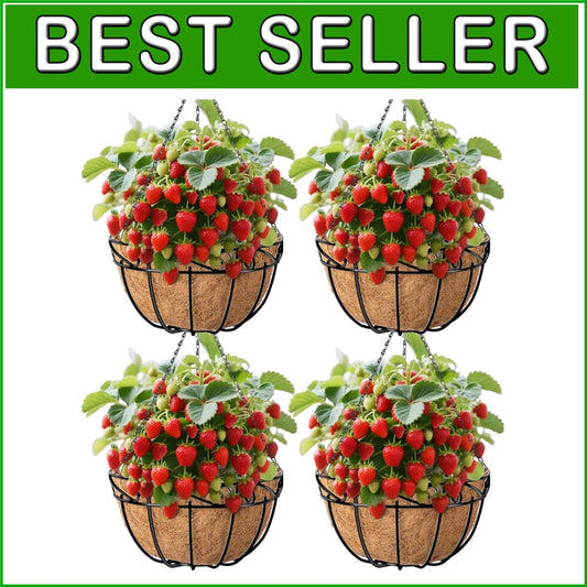 Elegant 4-Pack 14-Inch Metal Baskets with Coco Liners for Outdoor Decoration