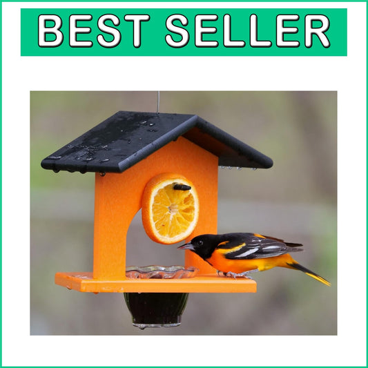 Eco-Friendly Hanging Oriole Bird Feeder - Black/Orange, Durable Poly Lumber