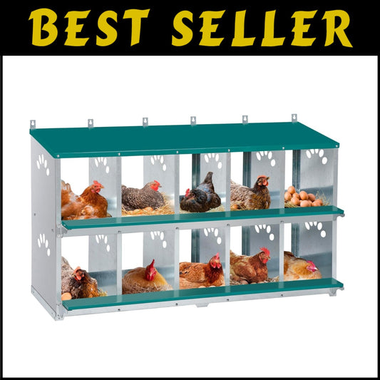 Spacious Metal Chicken Nesting Box with 10 Compartments and Ventilation