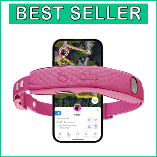 All-New GPS Wireless Dog Fence & Training Collar - Waterproof, Orchid Color