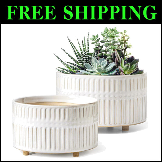 Elegant 6.5/8 Inch Ceramic Succulent Pots with Drainage - Indoor Garden Combo