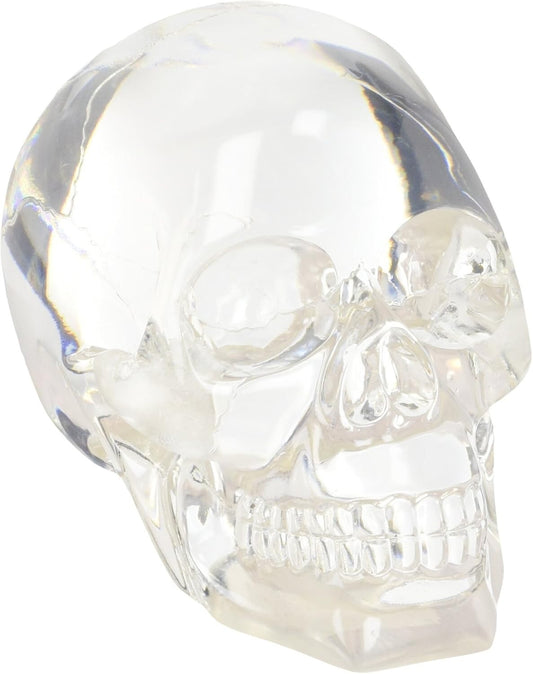 Intricate Clear Skull Sculpture - Unique Home Decor for Gifts and Holidays