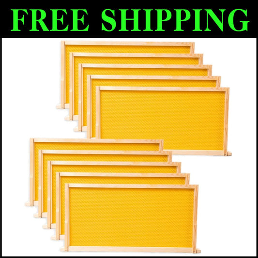 Yellow Beeswax Bee Frames for Standard Langstroth Deep Brood - 10 Piece Set
