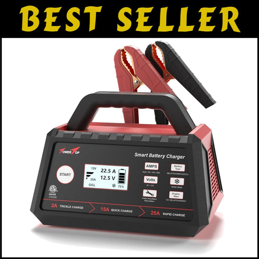 Smart 12V Car Battery Charger: 25A Fast Charging & Maintenance for All Batteries