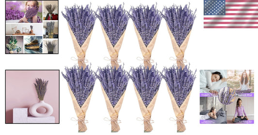 8 Bundles of 16" Dried Lavender Flowers - Perfect for Cozy Home Arrangements