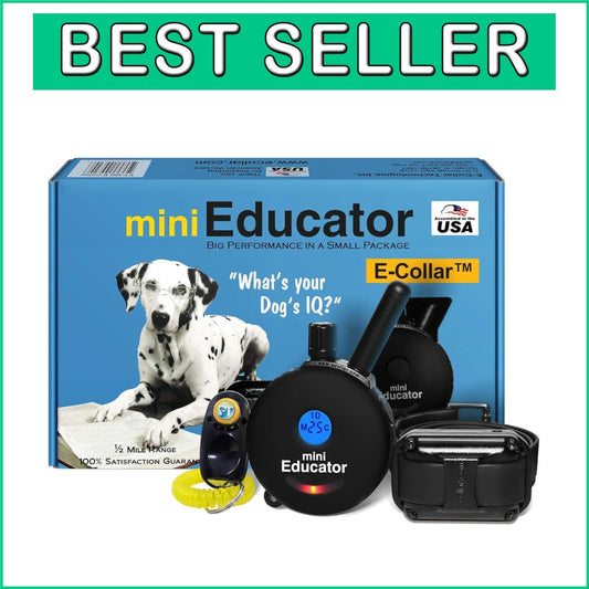 Rechargeable Remote Dog Training Collar - 100 Levels & Safety Features for Dogs