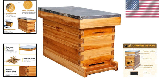 Elegant 5-Frame Beehive with Waterproof Metal Roof – Perfect for New Beekeepers
