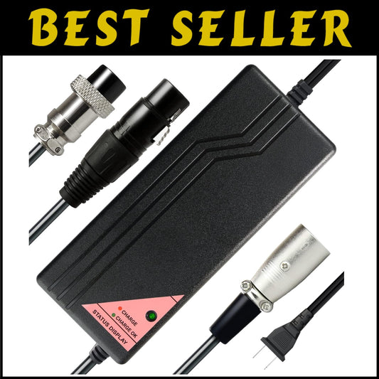 Intelligent 24V Lithium Charger - Ideal for LiFePO4 Batteries in Mobility Aids