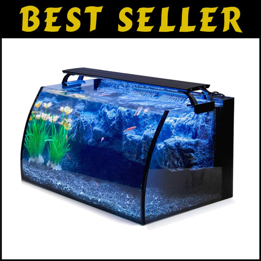 Stylish 8-Gallon Fish Tank with Integrated Filter and Gorgeous Lighting Features