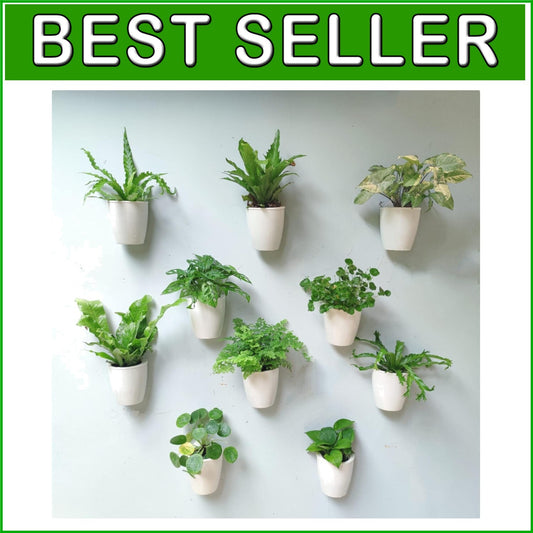 10-Pack Self-Watering Vertical Wall Planters for Stylish Indoor Herbs, 5"